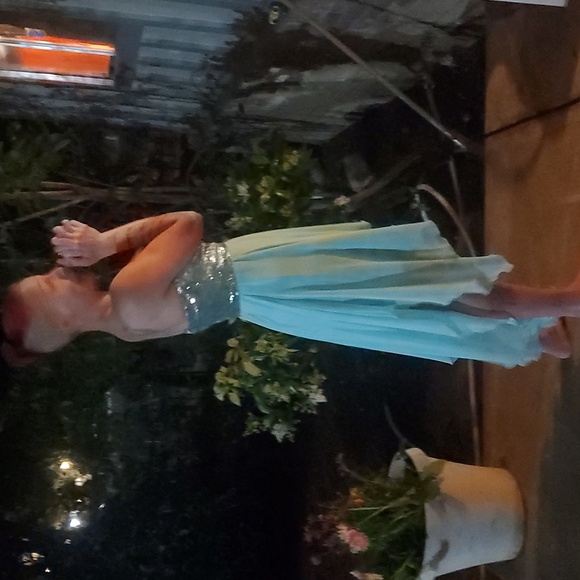 Sparkly Prom Dress - Picture 4 of 5